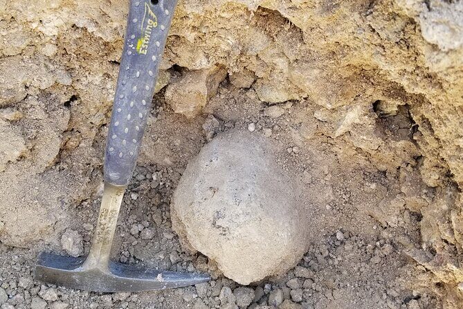 Guided Rock Collecting Tour with a Geologist near Salt Lake City - Analyzing the Value