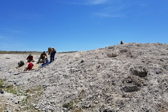 Guided Rock Collecting Tour with a Geologist near Salt Lake City - The Sum Up