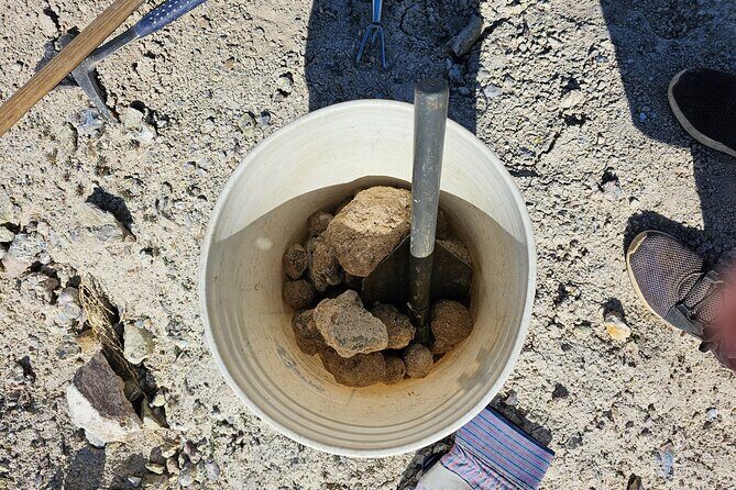 Guided Rock Collecting Tour with a Geologist near Salt Lake City - FAQs