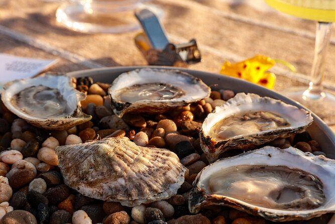 Guided Rooftop Oyster Tasting with an Oyster Sommelier - The Experience: What to Expect and Why It Matters
