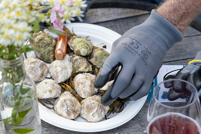 Guided Rooftop Oyster Tasting with an Oyster Sommelier - Practical Tips for Visitors