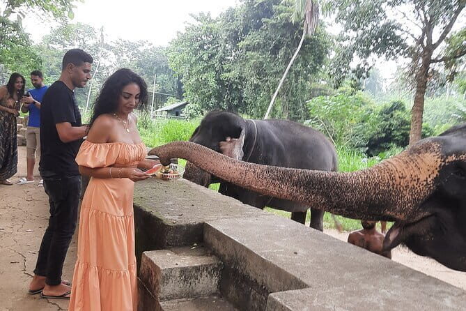 Guided round tour in srilanka - Key Points
