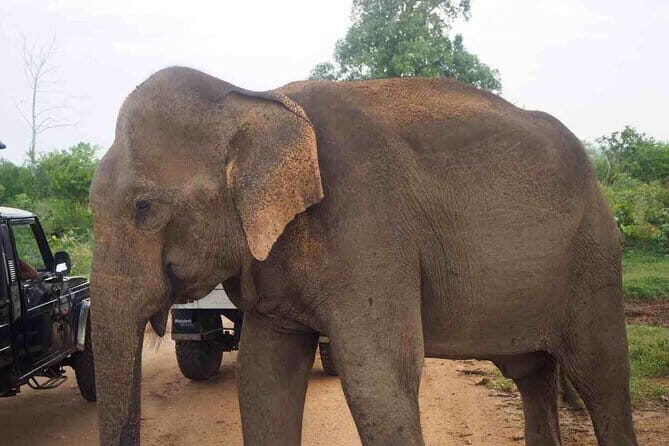 Guided round tour in srilanka - FAQs