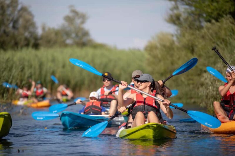 Guided Safari Kayaking Tour in Neretva Valley - Practical Tips for Making the Most of the Tour