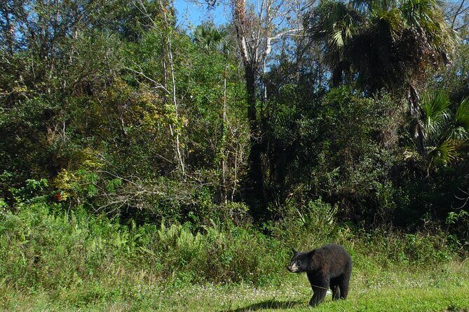 Guided Safari-Style Jeep Tour - The Itinerary Breakdown