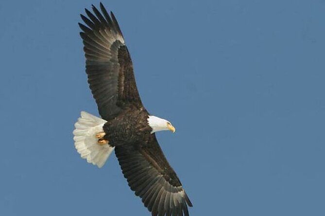 Guided Scenic Float Day Trip on the Salmon River - Why This Float Stands Out