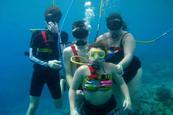 Guided Scuba Diving in Cabo Pulmo - Why This Tour Might Be Right for You