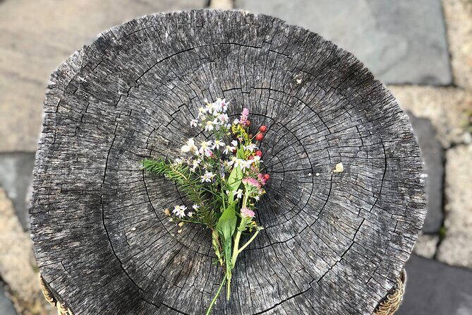 Guided Shared Group Forest Bathing Session in Serene Woodland Park - Discover the Benefits of Forest Bathing in Westchester County