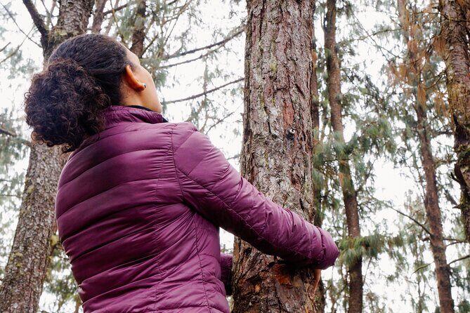 Guided Shared Group Forest Bathing Session in Serene Woodland Park - The Practical Details: Booking, Cost, and Group Dynamics
