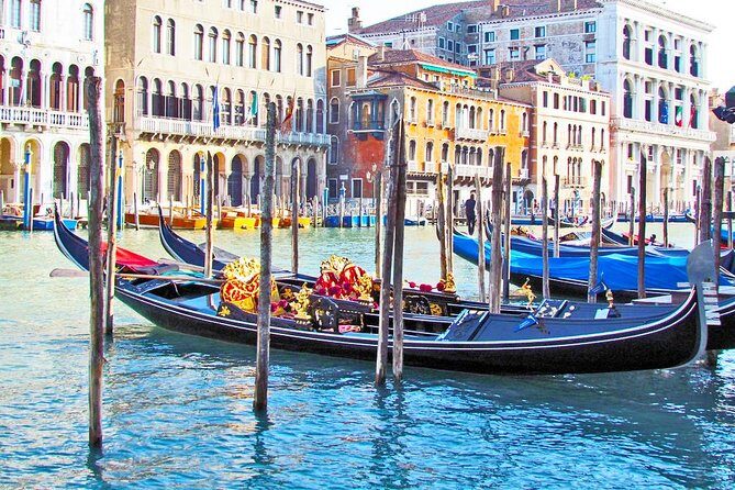 Guided Sightseeing Tour of Venice Highlights for Kids & Families - Key Points