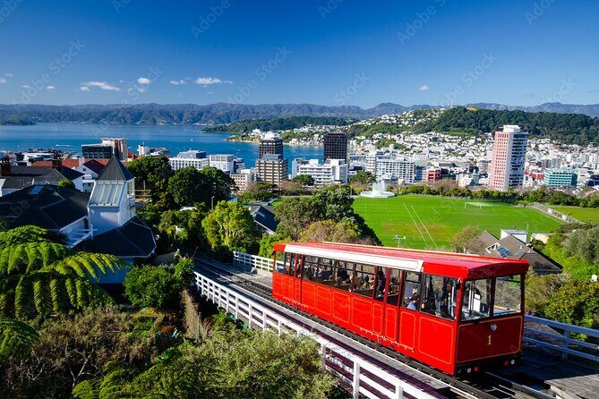 Guided Small Group Walking Tour in Wellington - Authentic Experiences and Uniqueness