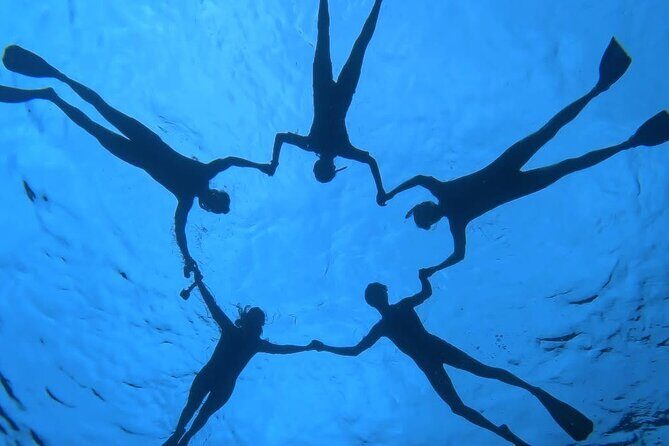 Guided Small Group Whale Watching and Swim Tour Tahiti - FAQ