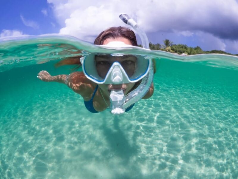 Guided Snorkel in Barcelona Beach - What to Expect During the Snorkeling Tour