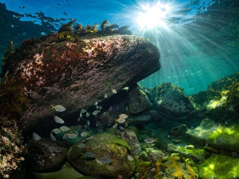 Guided Snorkel Tour at Australias most iconic beach - The Itinerary Breakdown