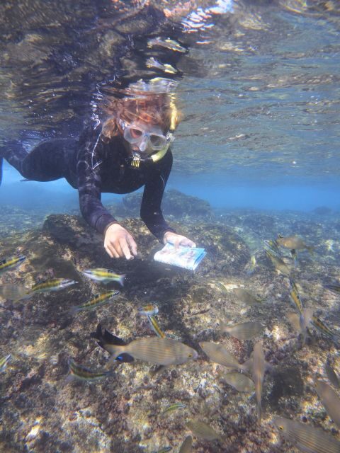 Guided Snorkeling Experience - A Comprehensive Look at the Guided Snorkeling Experience in Lanzarote
