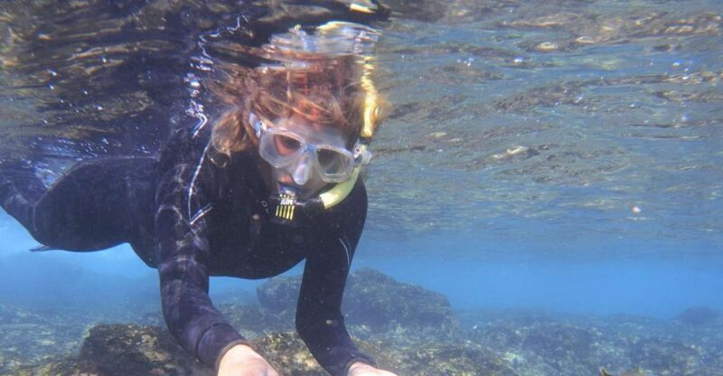 Guided Snorkeling Experience - Who Is This Tour Best For?