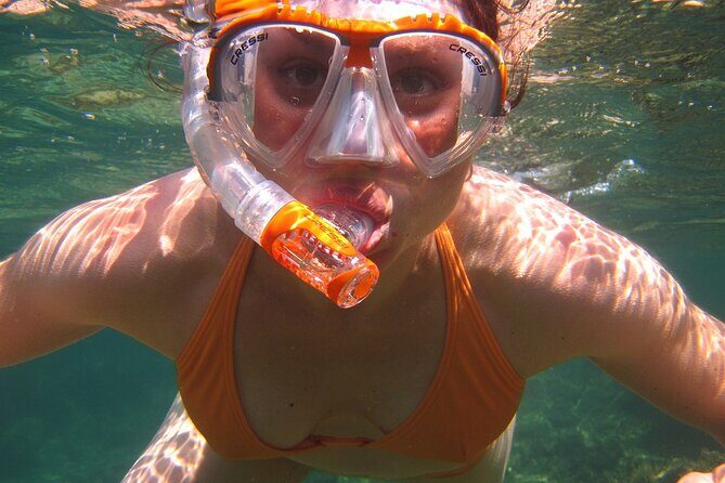 Guided Snorkeling Experience - The Snorkeling Itinerary: What to Expect