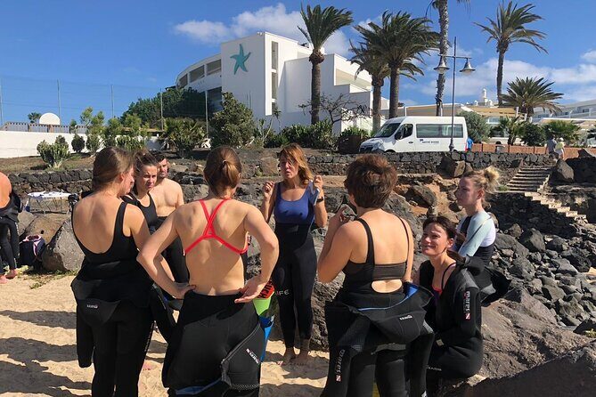 Guided Snorkeling Experience - Value and Practical Tips