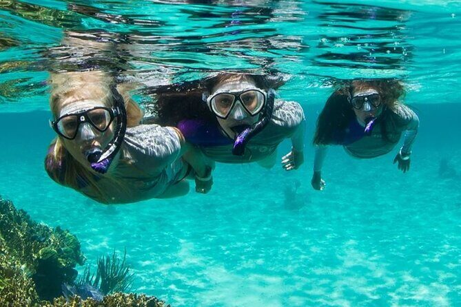 Guided Snorkeling Experience in Bondi - An In-Depth Look at the Snorkeling Tour