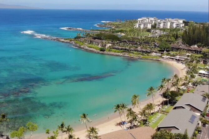 Guided Snorkeling for Beginners with Flotation Wetsuit - The Sum Up