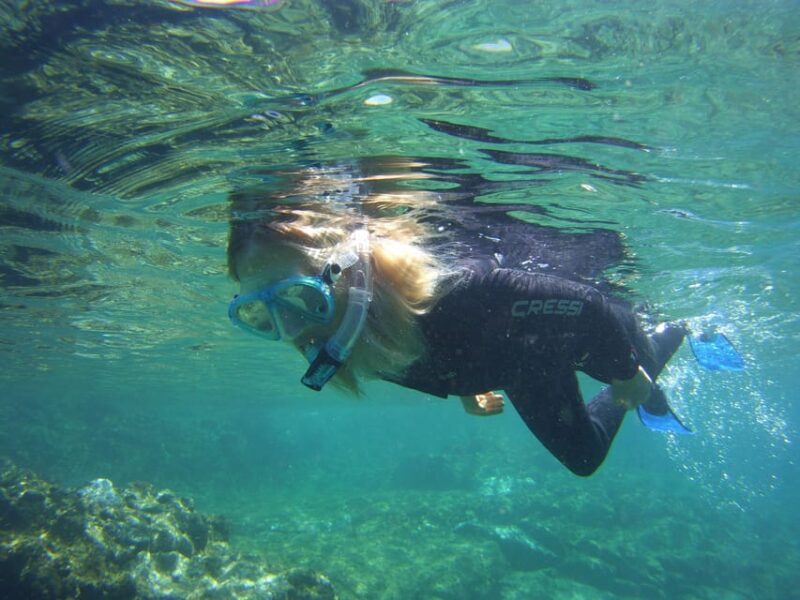 Guided Snorkelling experience in south of Gran Canaria - Why This Tour Is Ideal for Certain Travelers