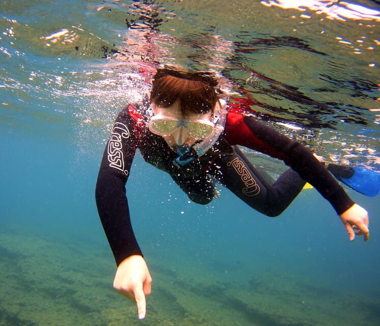 Guided Snorkelling experience in south of Gran Canaria - The Sum Up