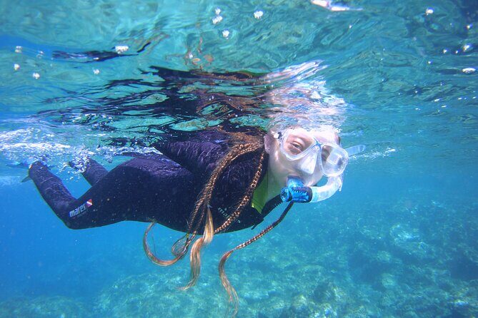 Guided Snorkelling Experience in South of Gran Canaria - What to Expect from the Snorkelling Tour