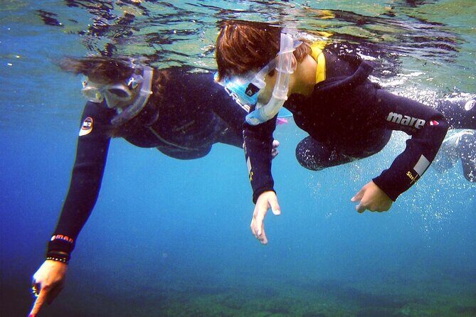 Guided Snorkelling Experience in South of Gran Canaria - The Location and Its Appeal