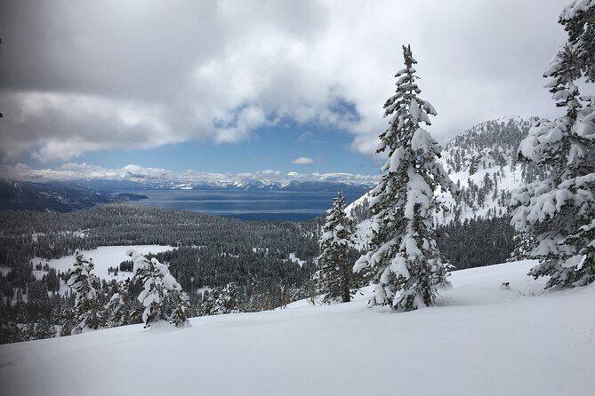 Guided Snowshoe Experience in Lake Tahoe - Practical Details: What to Know Before You Go