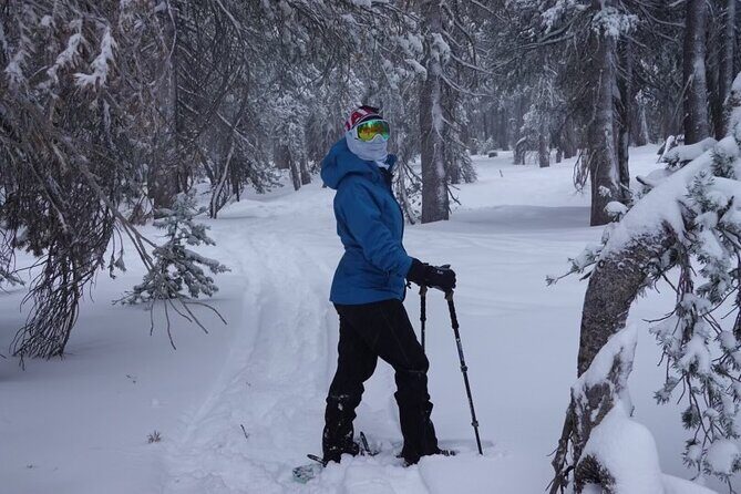 Guided Snowshoe Experience in Lake Tahoe - Who Will Love This Experience?