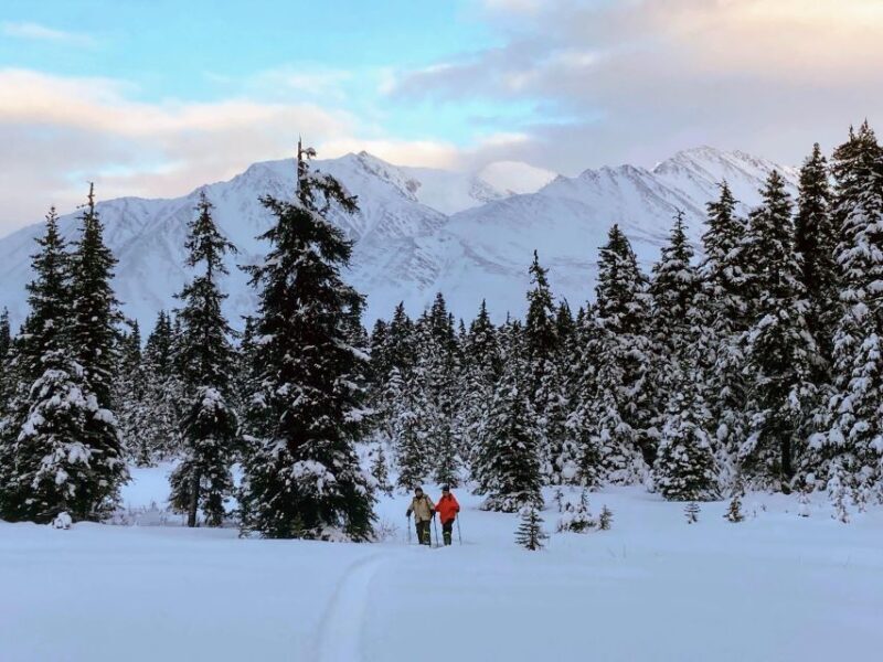 Guided Snowshoeing Adventure from Seward, Alaska - Exploring the Snowshoeing Experience in Seward