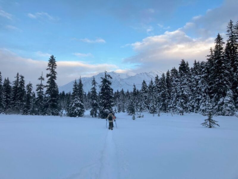 Guided Snowshoeing Adventure from Seward, Alaska - Summary