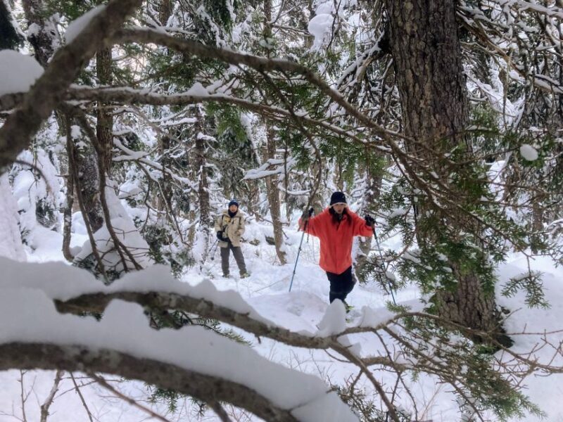 Guided Snowshoeing Adventure from Seward, Alaska - FAQ