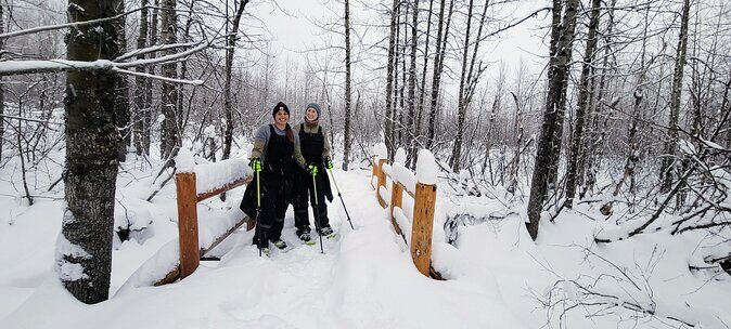 Guided Snowshoeing Adventure in Seward, Alaska - Detailed Breakdown of the Itinerary