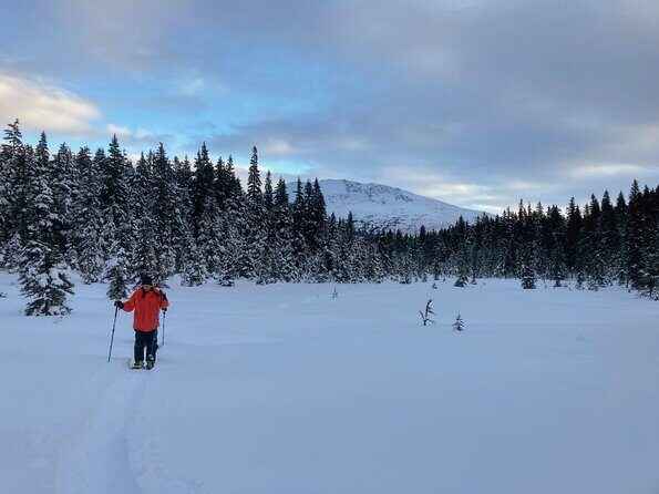 Guided Snowshoeing Adventure in Seward, Alaska - What to Expect from the Experience