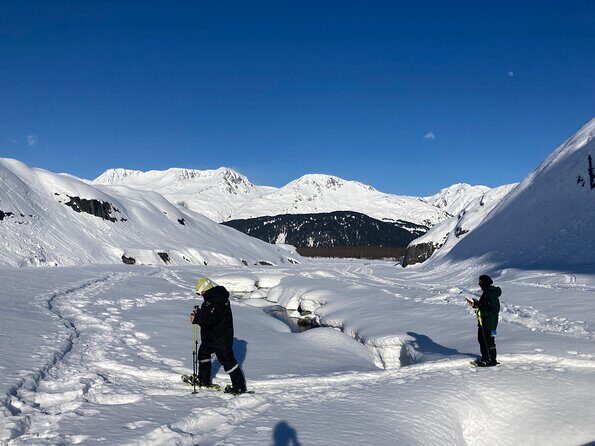Guided Snowshoeing Adventure in Seward, Alaska - The Realities of Snowshoeing in Seward