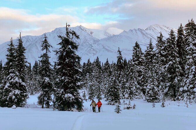 Guided Snowshoeing Adventure in Seward, Alaska - Frequently Asked Questions