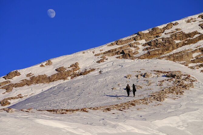 Guided Snowshoeing Day to Discover the Dolomites - Who Is This Tour Best For?