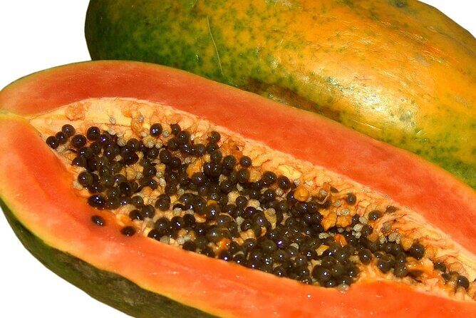 Guided Tasting of 15+ Tropical Fruits in Playa del Carmen - FAQ