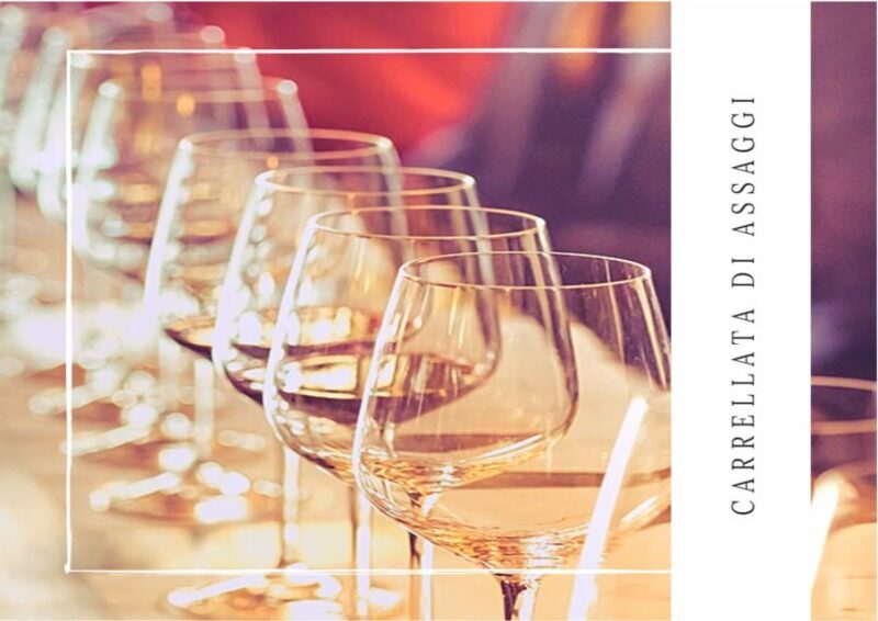 Guided tasting of local wines - Why this experience is worth considering