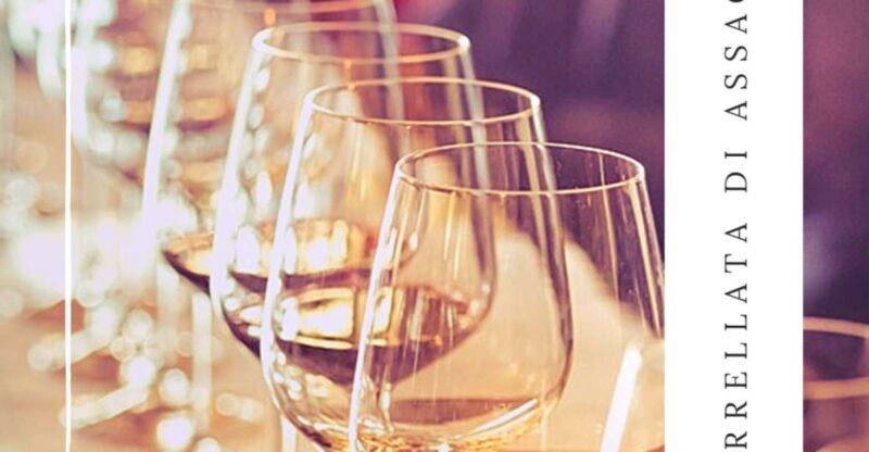 Guided tasting of local wines - FAQ