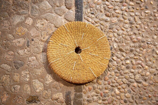 Guided Tasting Tour in 16th century House and Olive Oil Factory - Key Points