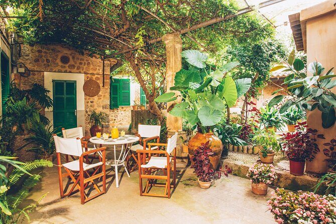 Guided Tasting Tour in 16th century House and Olive Oil Factory - Final Thoughts