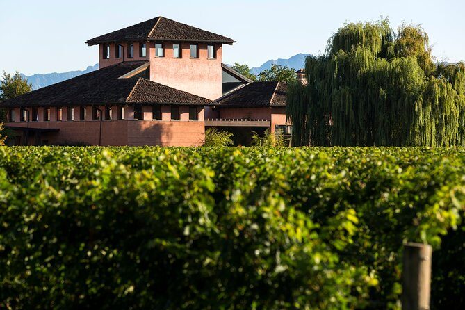 Guided tasting with our team - Discover the Charm of a Private Wine Tasting in Friuli-Venezia Giulia