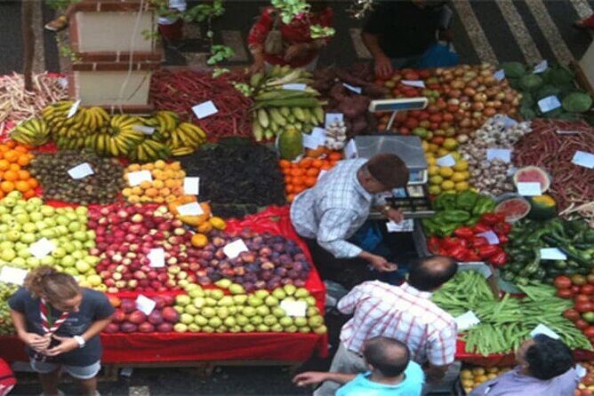 Guided Toboggan Ride and Madeira Wine Tasting Tour - Guided Toboggan Ride and Madeira Wine Tasting Tour: An Authentic Madeira Experience