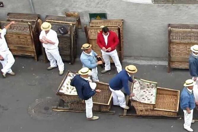 Guided Toboggan Ride and Madeira Wine Tasting Tour - The Sum Up