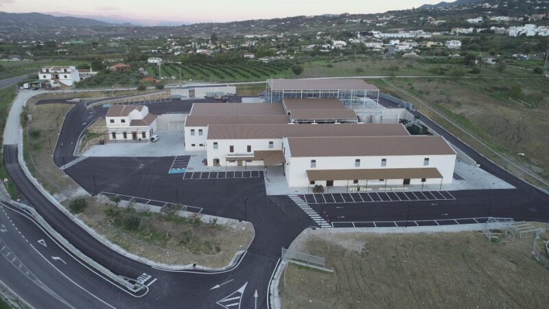 Guided tour and oil tasting at the Aceites Molisur factory - Who Should Consider This Tour?