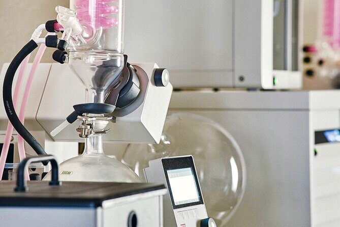 Guided Tour and Tasting at the Distillerie Baccae Paris - What to Expect from Your Paris Gin Tour