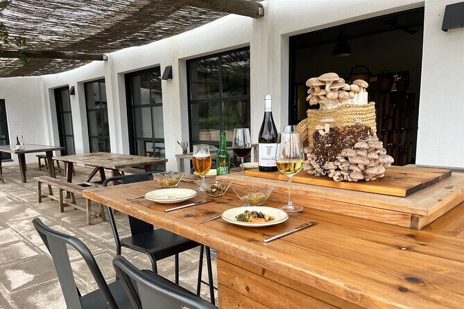Guided tour and tasting in mushroom cultivation - Exploring Menorca’s Hidden Mushroom Treasure with a Guided Tour and Tasting