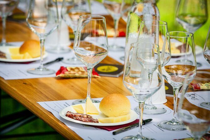 Guided Tour and wine tasting 5 wines to discover the Conegliano Valdobbiadene - An In-Depth Look at the Tour Experience